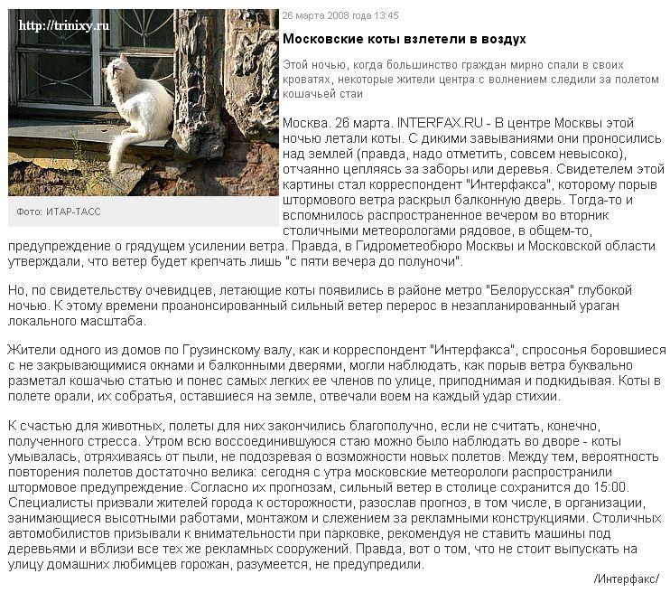 Московские коты взлетели в воздух (3 фото)