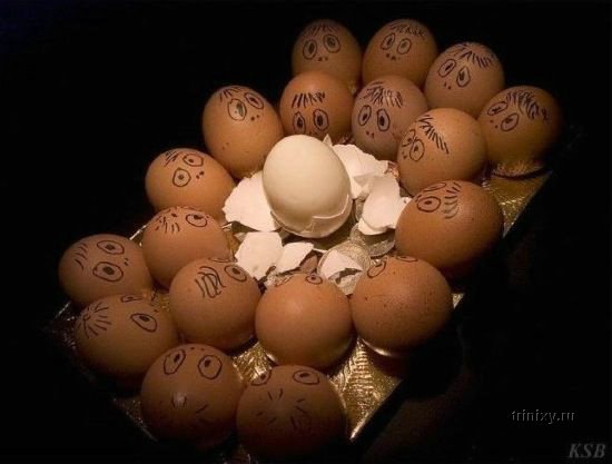 Креатив с яйцами (15 фото)