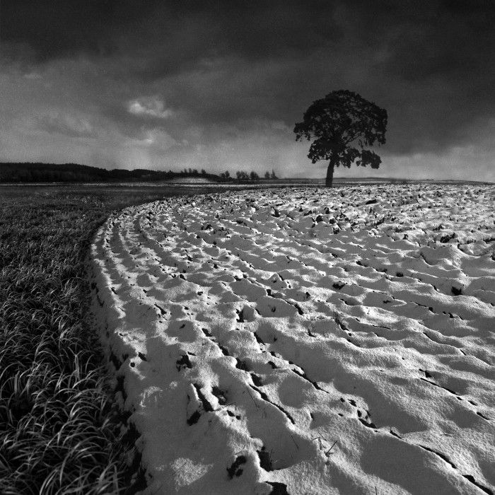 Фото белом мире. Дариуш Климчак фото. Dariusz Klimczak фотограф. Дариуш Климчак фотоработы. Черно белая фотография природы Концептуальная фотография.