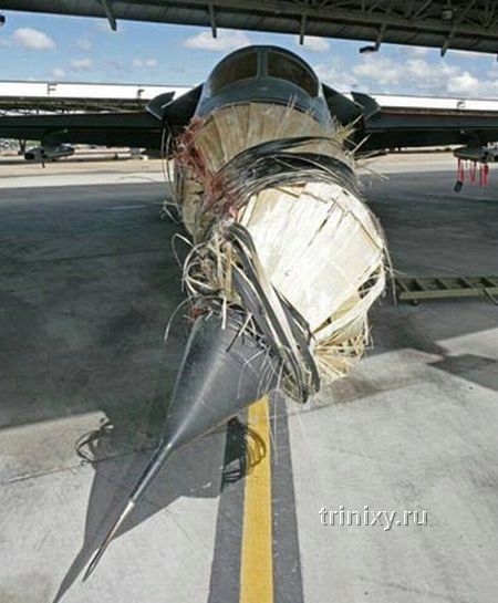 В Австралии истребитель столкнулся с пеликаном (5 фото)
