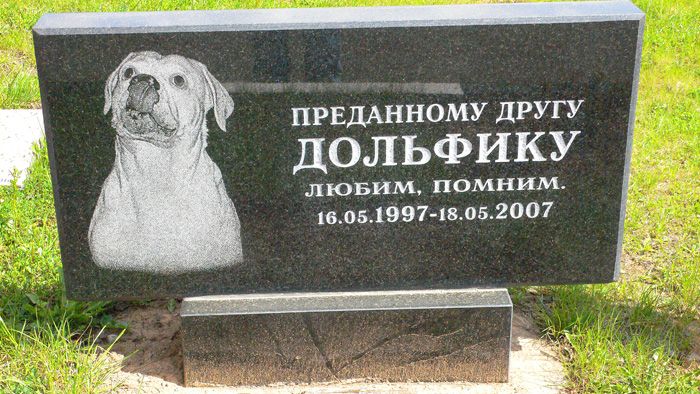 Кладбище домашних животных (15 фото)
