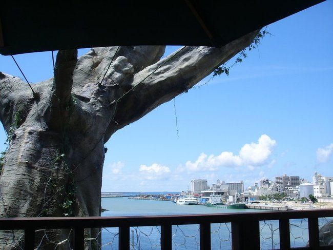 Ресторан на дереве (6 фото)