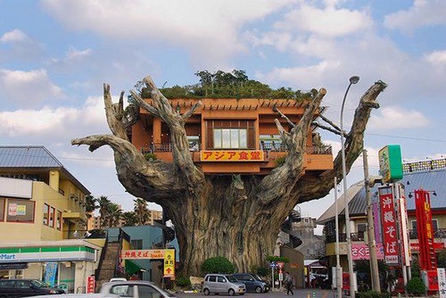 Ресторан на дереве (6 фото)
