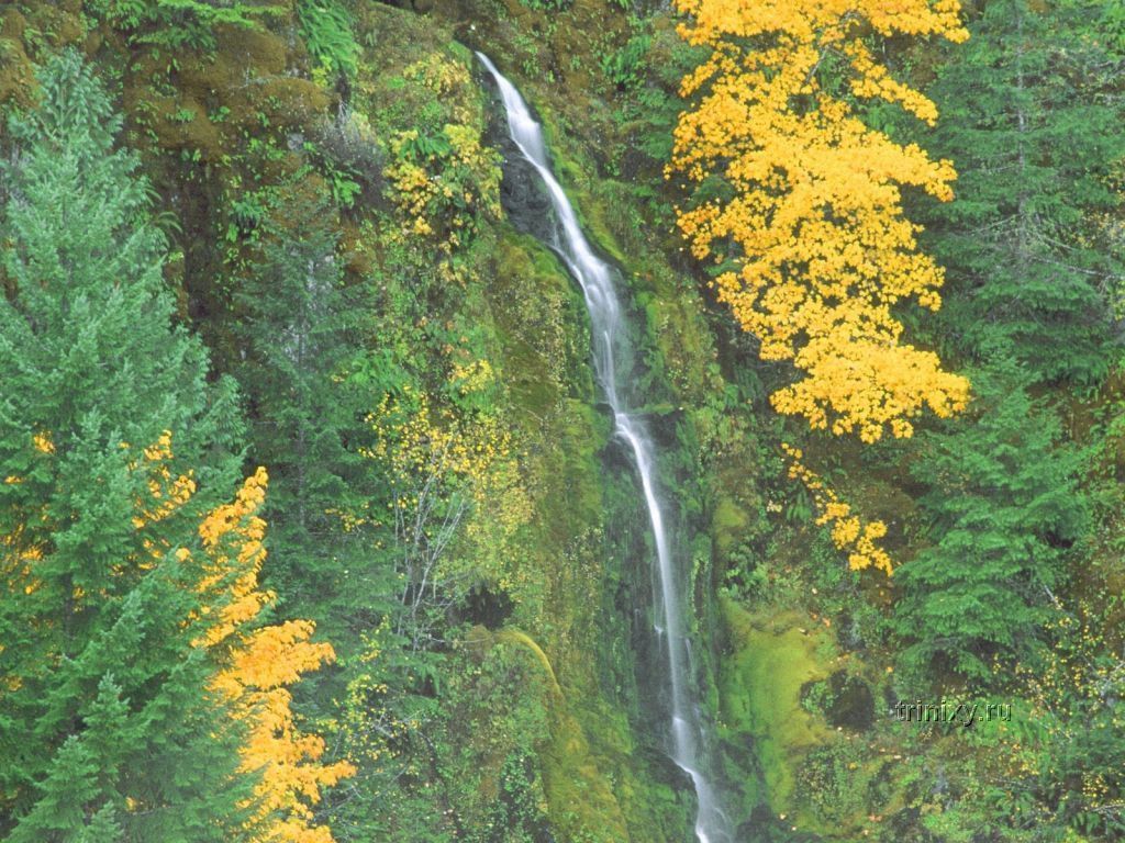 Самые красивые водопады мира (90 фото)