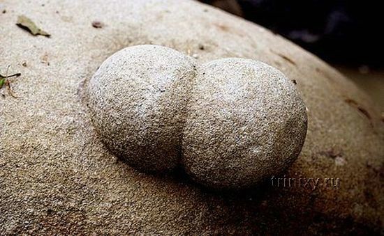 Каменный авторост (16 фото)