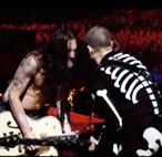 Red Hot Chilie Peppers LIVE SHOW