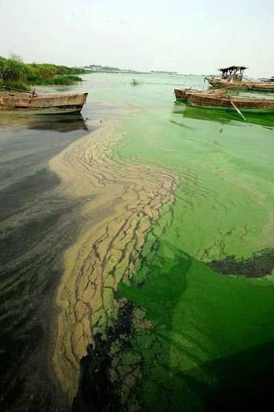 Зеленое озеро в Китае (9 фото)