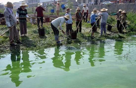 Зеленое озеро в Китае (9 фото)