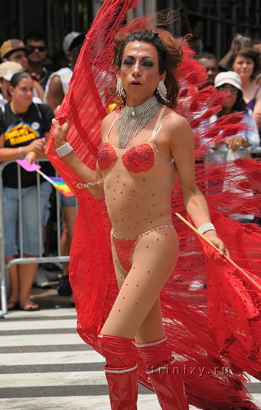 Прайд-парад - 2008 (60 фото)