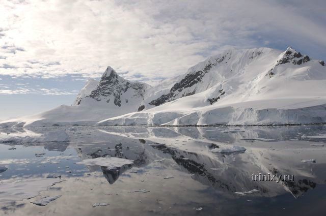 Антарктика и ее обитатели (31 фото)