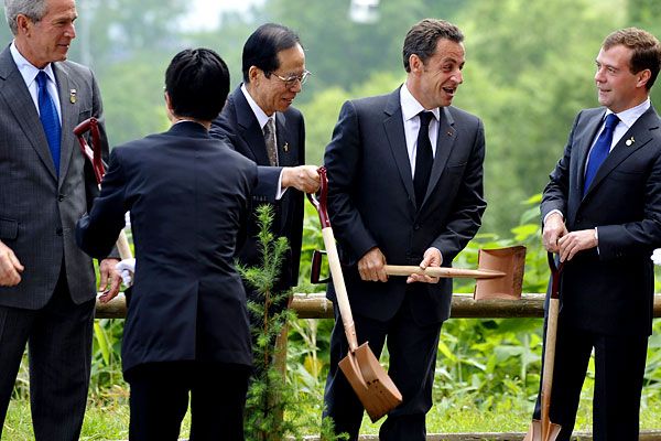 Политики садят японские ели (12 фото)