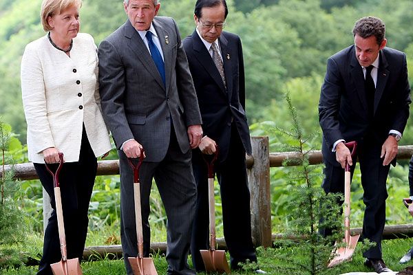 Политики садят японские ели (12 фото)
