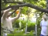 Ребята решили спилить ветку на дереве. Один из них получил по лицу (1.8 мб)