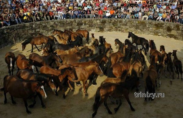 Необычный фестиваль в Испании (19 фото)