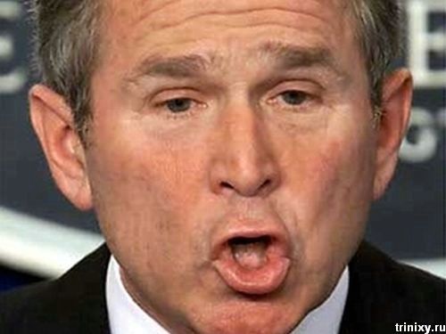 Эмоции Джорджа Буша (29 фото)