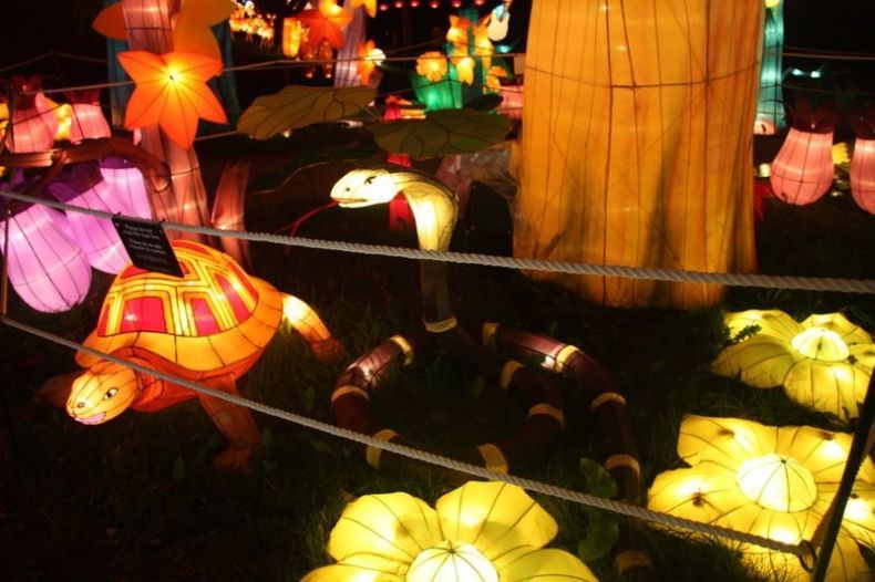 Китайский фестиваль светящихся фигур (51 фото)