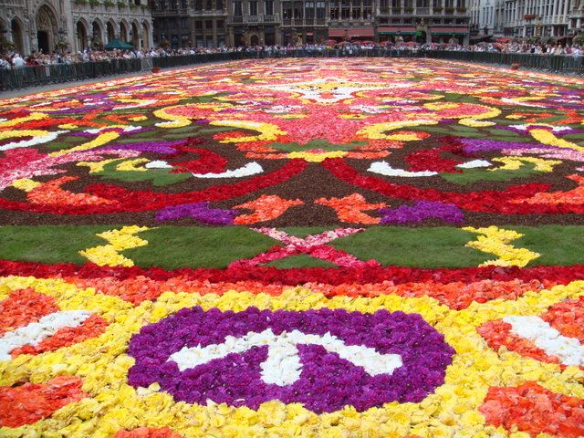 Ковер из живых цветов. Фестиваль "цветочный ковер" (flower carpet), брюссель, бельгия. Ковер из живых цветов. На выставке цветов был сделан ковер. Партер цветник.