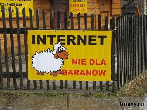 День Интернета в России. Подборка прикольных картинок (67 картинок)