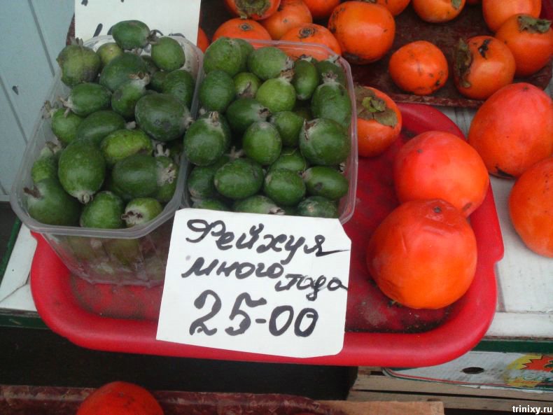 Манда манда мандарин. Смешные названия фруктов на рынке. Смешные надписи на фруктах на рынке. Прикольный фрукт название. Ценник на базаре.