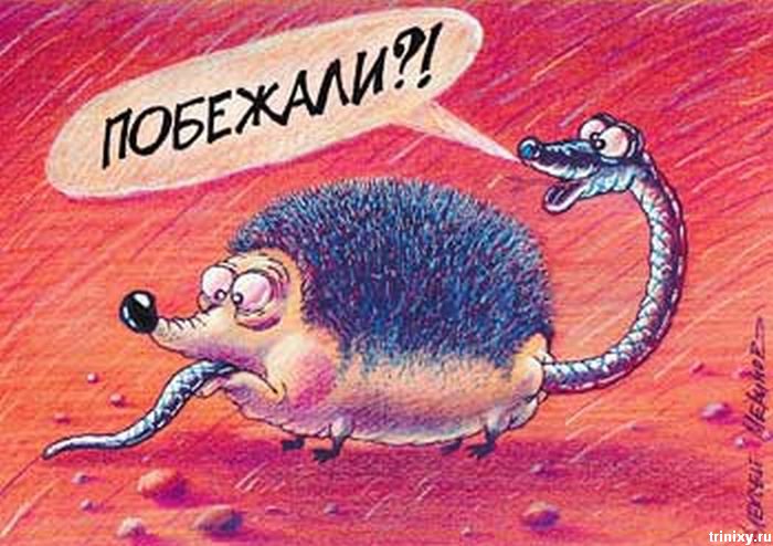 Карикатуры Алексея Меринова (81 фото)