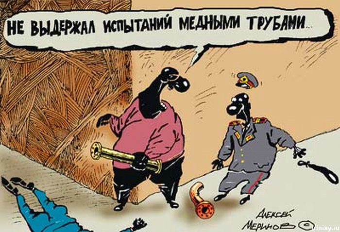 Карикатуры Алексея Меринова (81 фото)