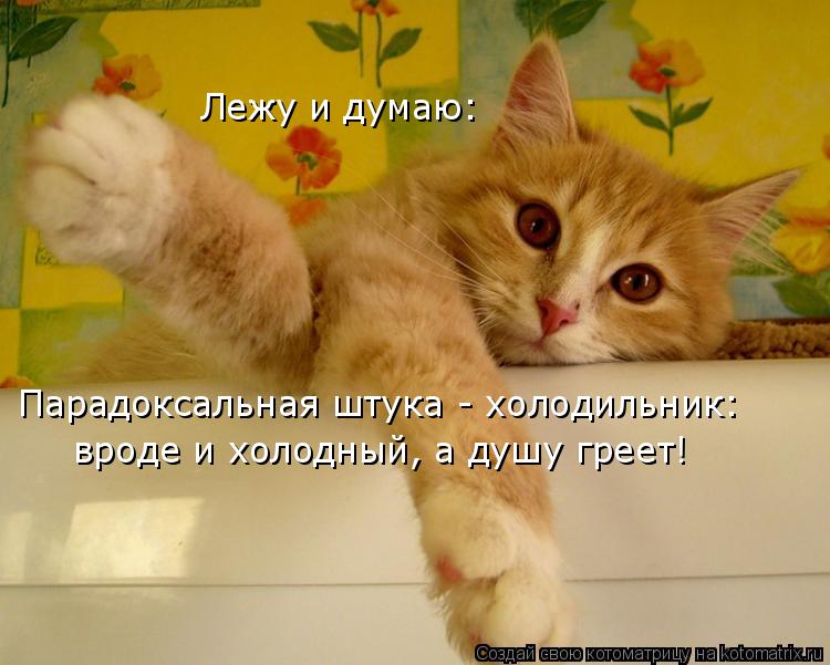 http://cdn.trinixy.ru/pics4/20090129/kotomatrix_71.jpg