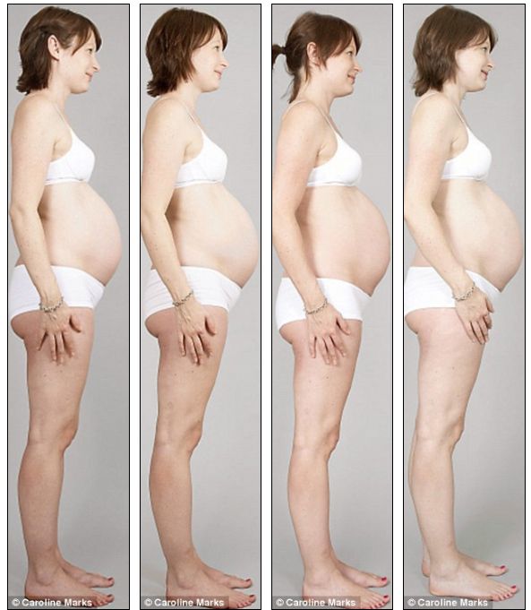 Фото беременных по месяцам фото живота