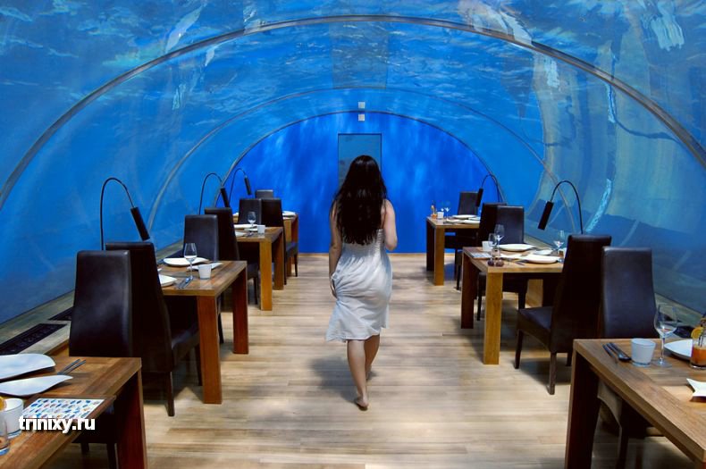 Подводный ресторан на Мальдивах (28 фото)