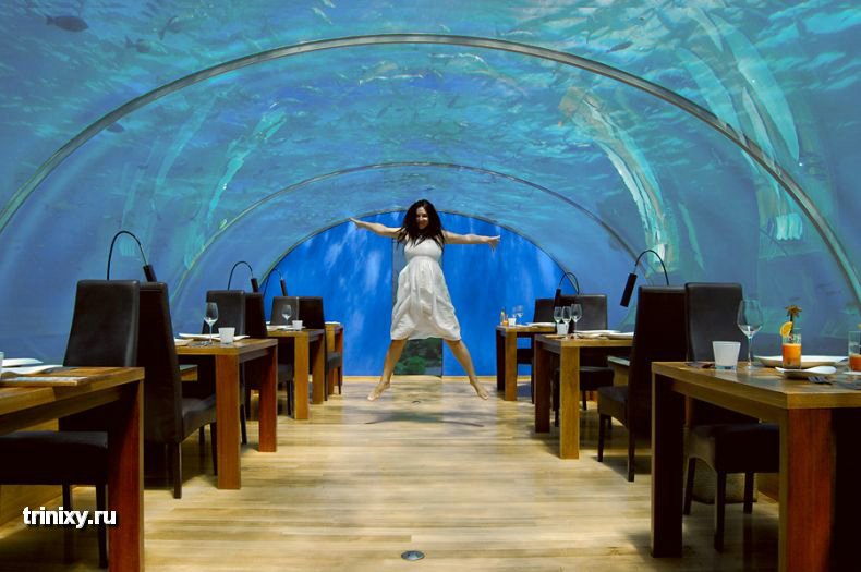 Подводный ресторан на Мальдивах (28 фото)