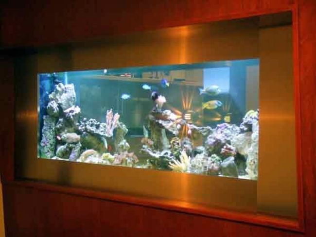 Очень красивые аквариумы (50 фото)