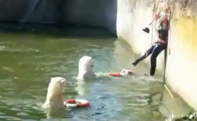 Чудесное спасение в берлинском зоопарке (4 фото + видео)