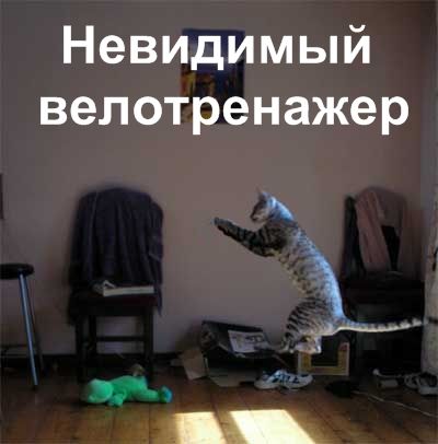 Коты и невидимые предметы (22 фото)