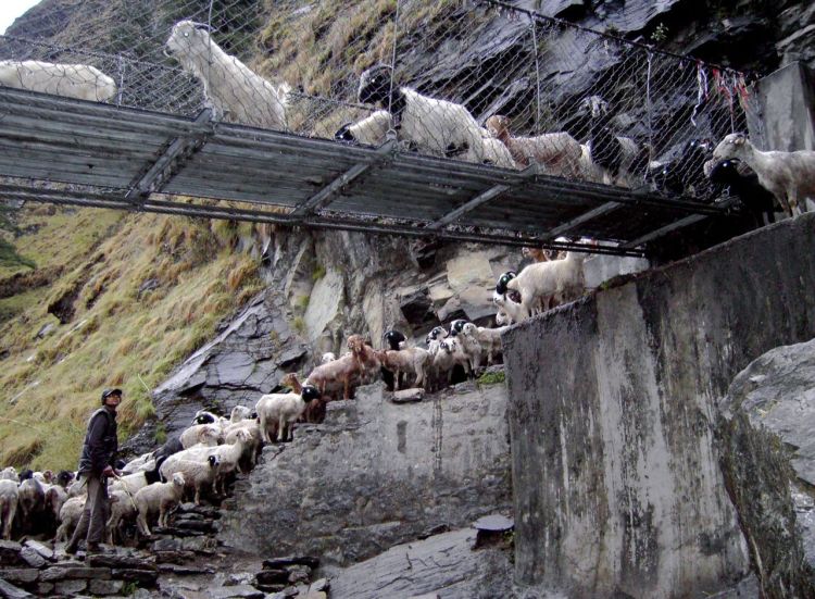 Самые опасные мосты в мире (36 фото)