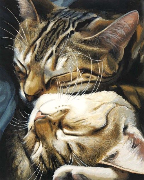 Рисованные коты (20 картинок)