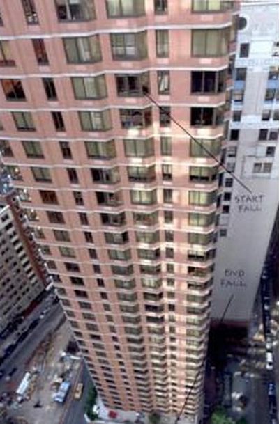 Кот Lucky из Нью Йорка выжил после падения с 26-го этажа (5 фото)