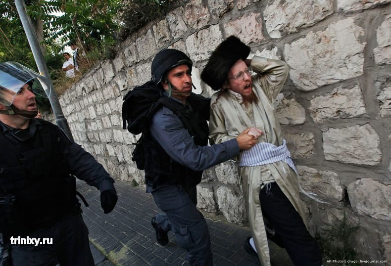 Столкновение ортодоксальных евреев с полицией (16 фото)