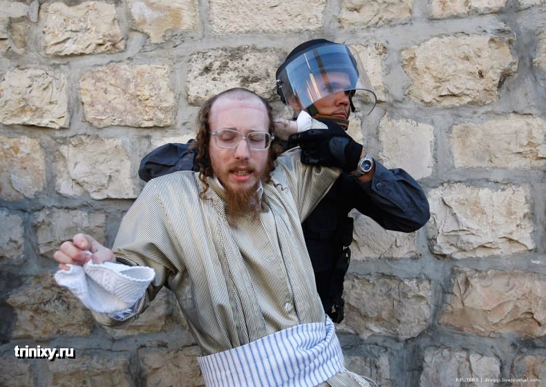 Столкновение ортодоксальных евреев с полицией (16 фото)
