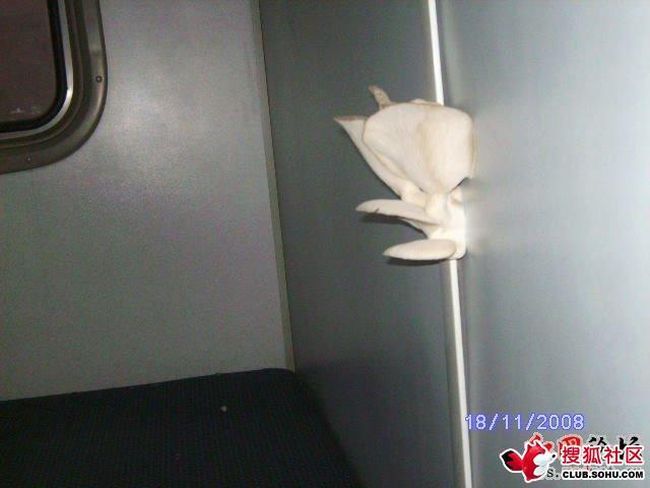 Жесть в китайском поезде (5 фото)