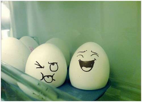  Живые яйца (21 фото)