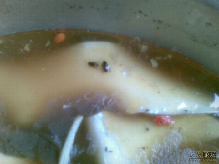 Официант! У меня в супе муха! Две мухи! (8 фото)
