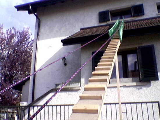 Лестницы для котов