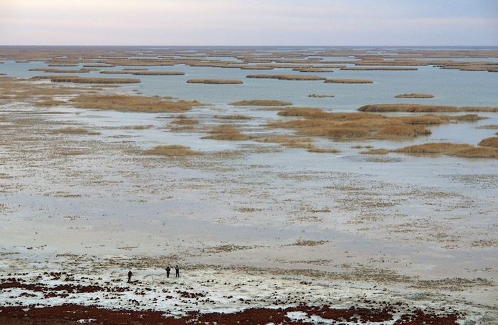 Аральское море (18 фото)