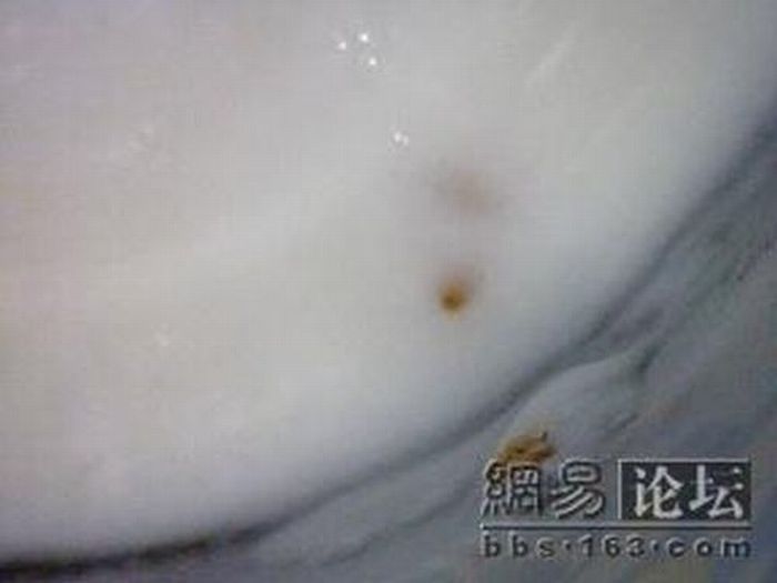 Чего только не встретишь в китайском молоке (9 фото)