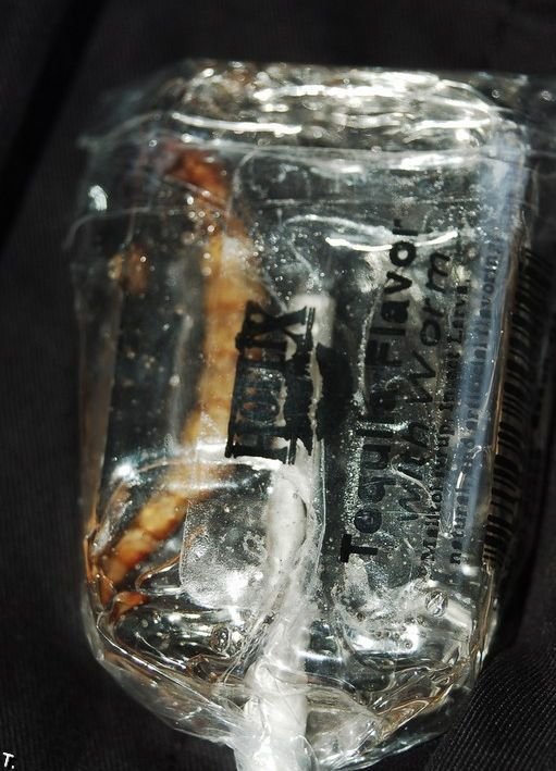 Леденец со вкусом текилы и червем (3 фото)