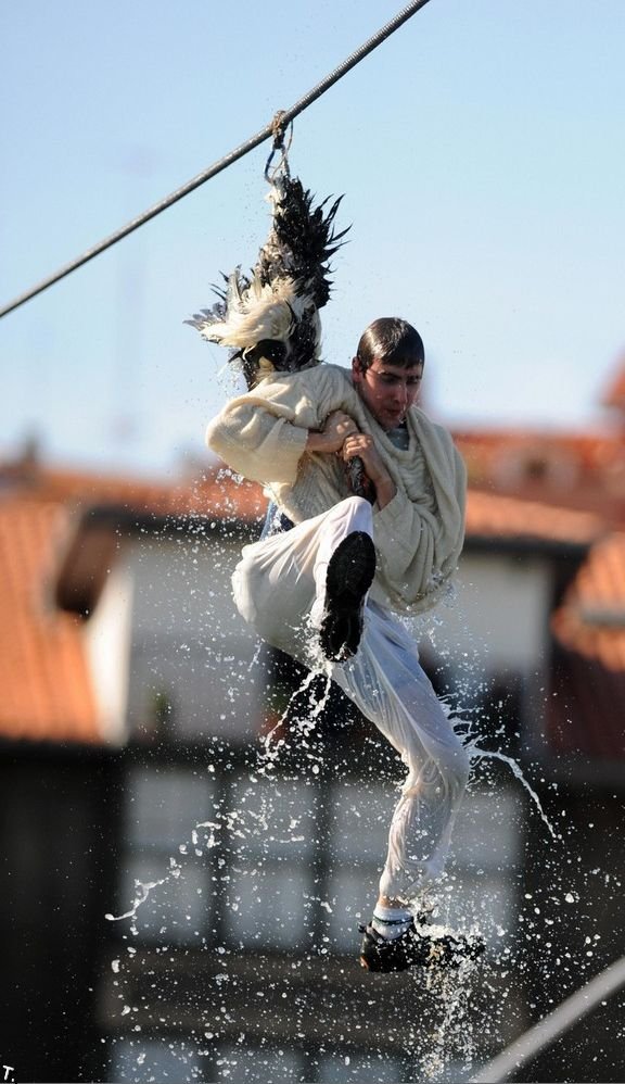 День гусей в Испании (13 фото)