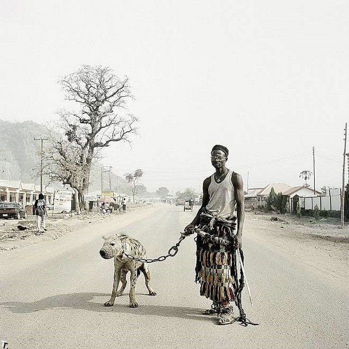 Африканские домашние животные (14 фото)