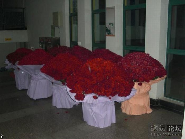 10 тысяч роз для любимой (8 фото)