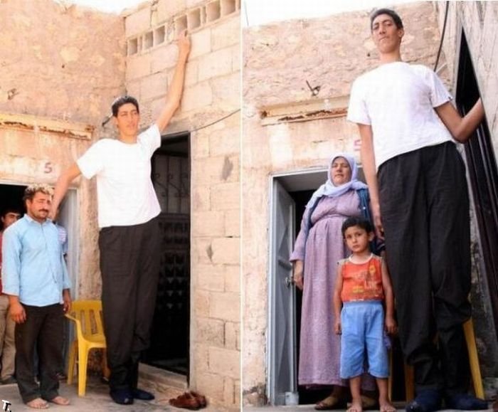 Султан Косен - самый высокий мужчина в мире. Рост 2,51 метра.