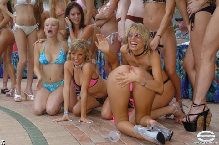 Конкурс бикини Silvercash Bikini Contest (192 фото)