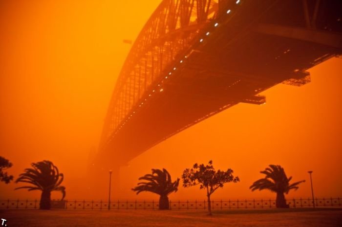 Вчерашняя песчаная буря в Сиднее (16 фото)